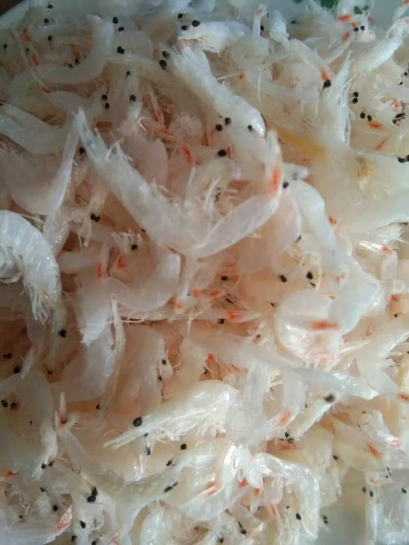 【热卖】特级低盐海湾大虾皮价格惊喜口感鲜美难好货