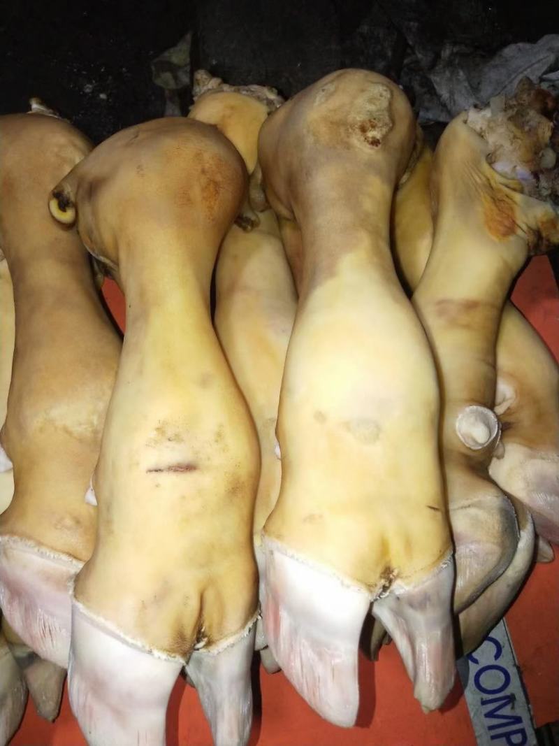 火烧牛蹄，大公牛牛蹄，质量保证，厂家直销