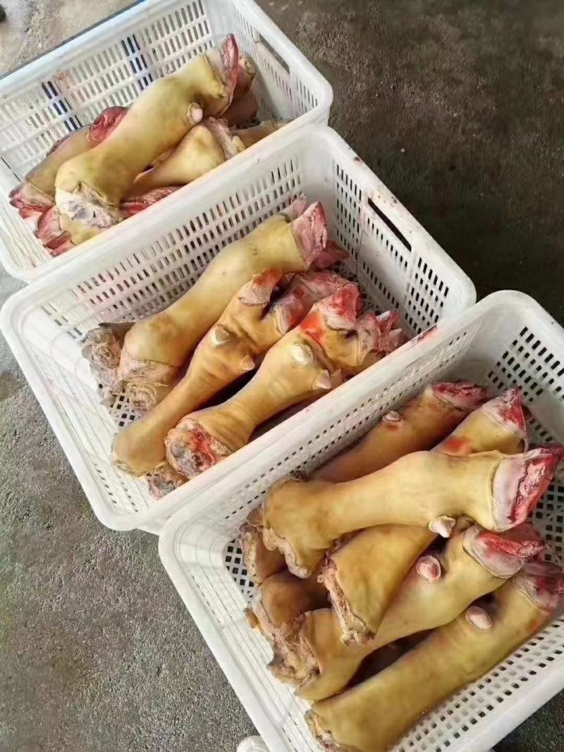 火烧牛蹄，大公牛牛蹄，质量保证，厂家直销