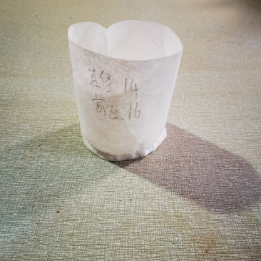 无纺布美植袋，植树袋无纺布美植袋，厂家直销，量大