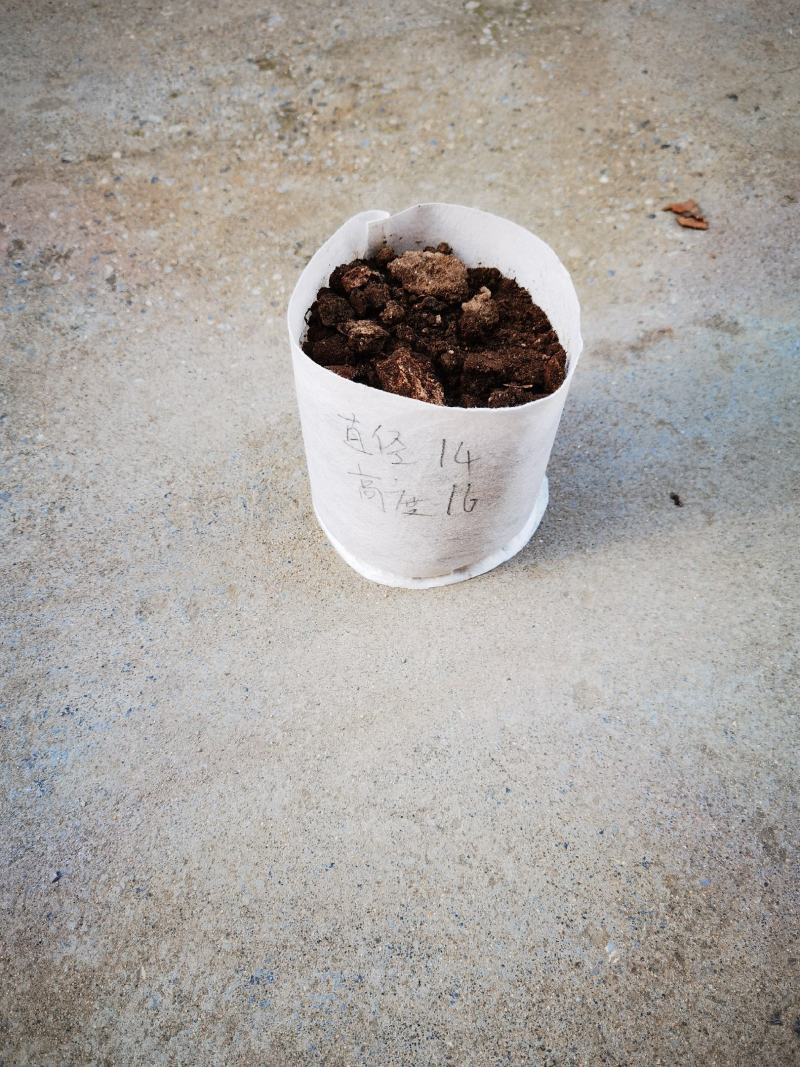 无纺布美植袋，植树袋无纺布美植袋，厂家直销，量大