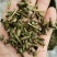 轮叶黑藻芽孢水草节节草耐高温灯笼泡养殖专用
