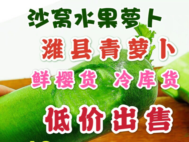 水果潍县萝卜，一级货，青萝卜个个青茬，不糠，产地现货