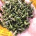 轮叶黑藻芽孢水草节节草耐高温灯笼泡养殖专用