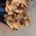 生姜，优质生姜产地，货源充足，价格便宜，一手货源，