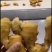 生姜，优质生姜产地，货源充足，价格便宜，一手货源，
