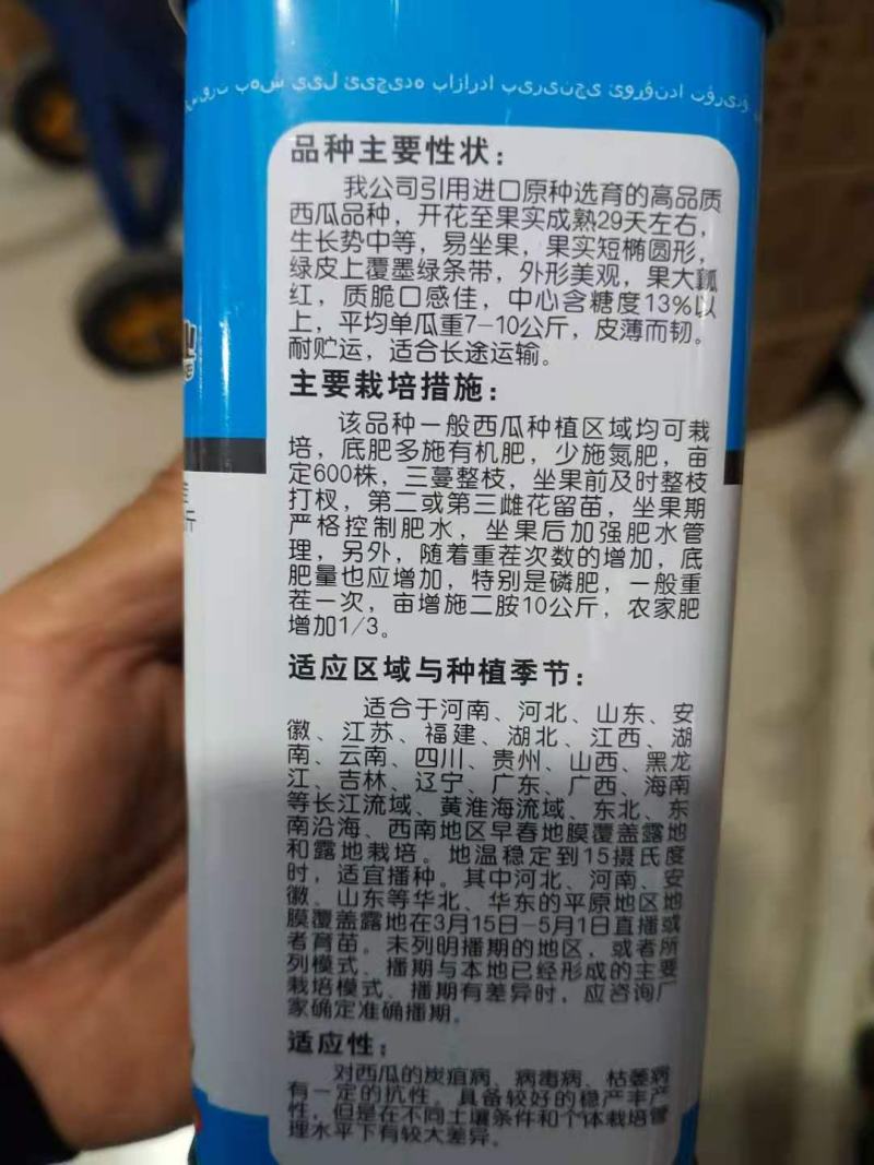 西瓜种子雪域甜，王肉重大突破，西瓜新品种早熟29天