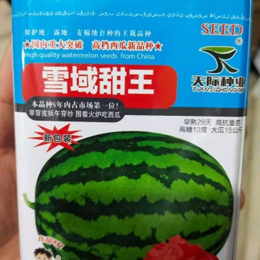 西瓜种子雪域甜，王肉重大突破，西瓜新品种早熟29天