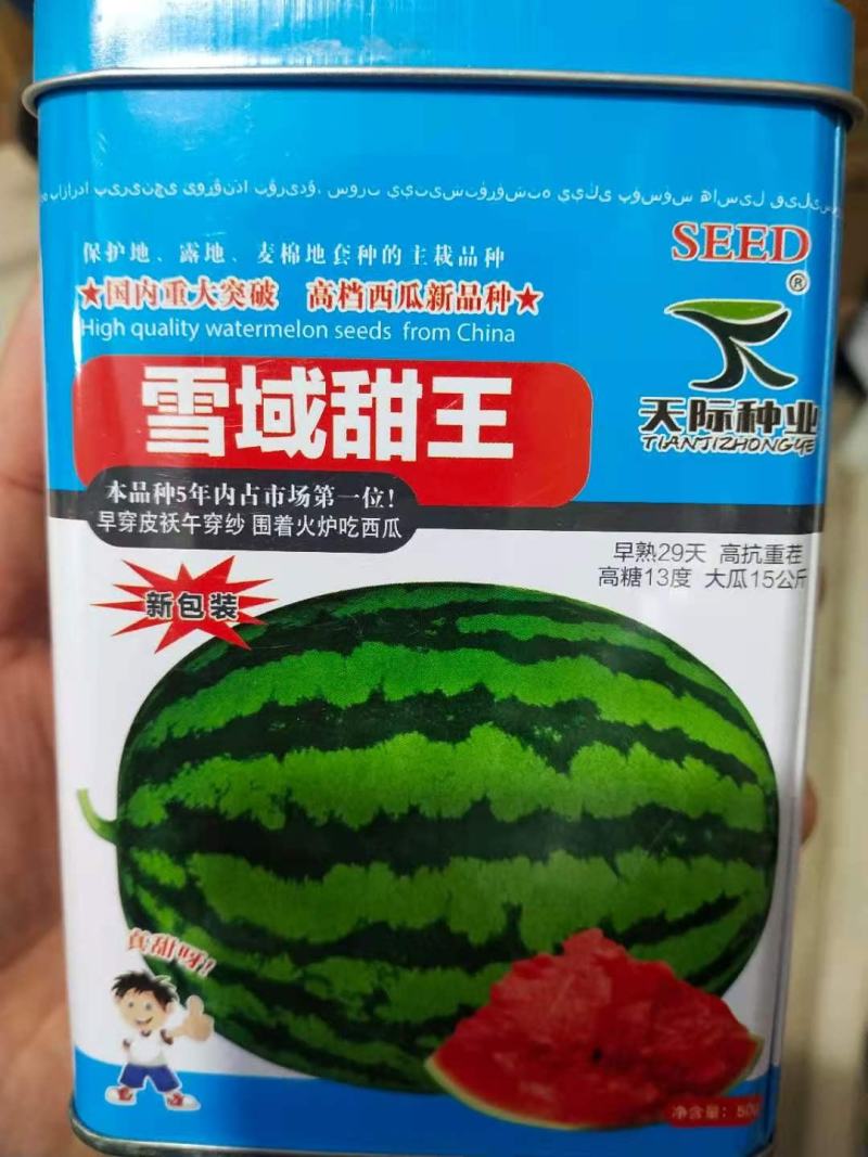 西瓜种子雪域甜，王肉重大突破，西瓜新品种早熟29天