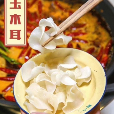 白玉木耳含有丰富的胶原蛋白营养价值非常高
