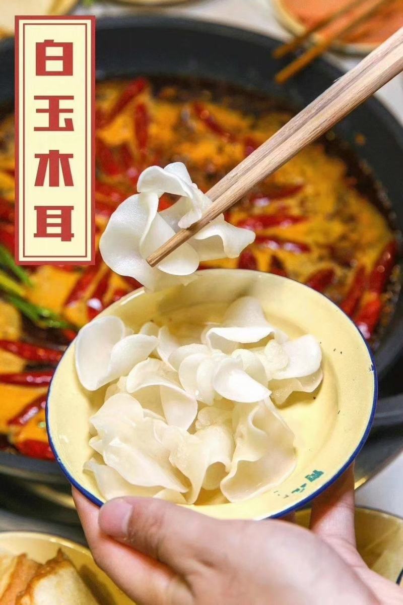 白玉木耳含有丰富的胶原蛋白营养价值非常高