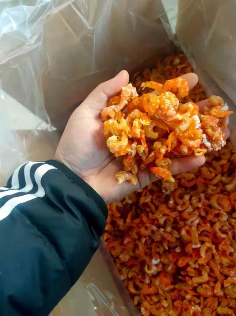金钩海米，多种规格可选！大量现货，保证质量！