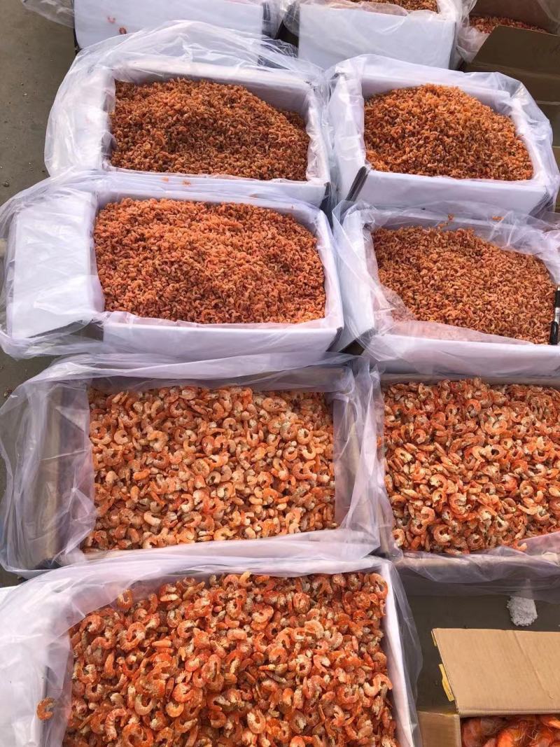 金钩海米，多种规格可选！大量现货，保证质量！
