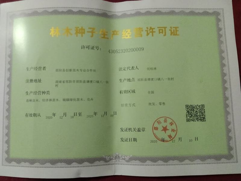 卡拉卡拉红肉脐橙苗一品种纯正，质量优，可鉴合同，提供技术