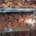 【熟牛肉】真空包装全熟五香牛肉
