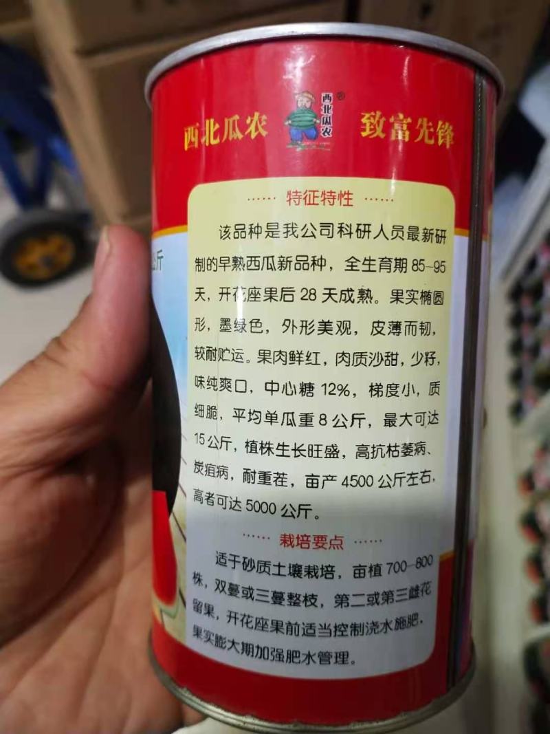 西瓜种子，新抗八早熟28天抗病耐重茬高糖13度，