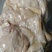 纯干全熟牛腩筋，高品质产品