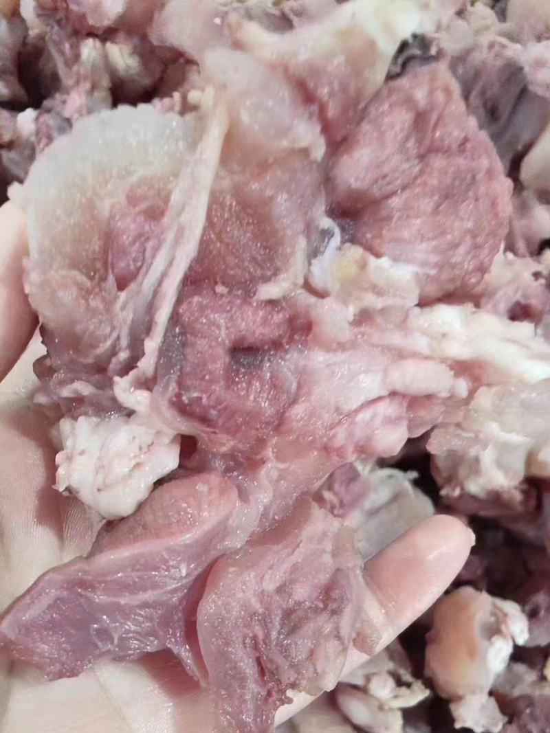 纯干全熟腱巴筋，高品质产品