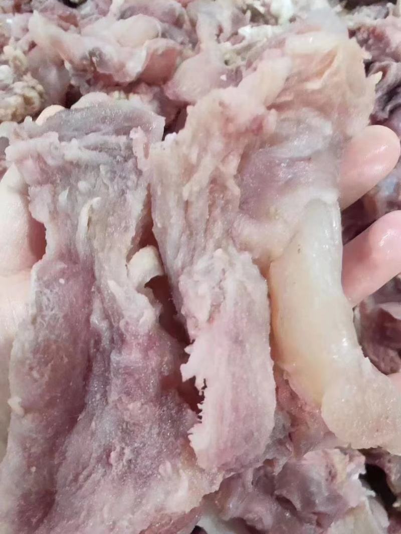 纯干全熟腱巴筋，高品质产品