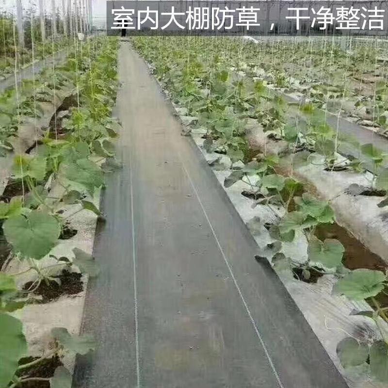 防草布果园花卉蔬菜大棚防草除草透气保湿
