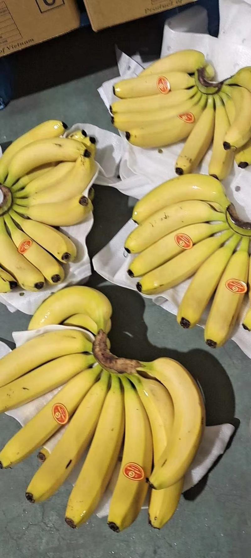 索菲亚佳农都乐进口菲律宾香蕉精品特价超市活动上海香蕉