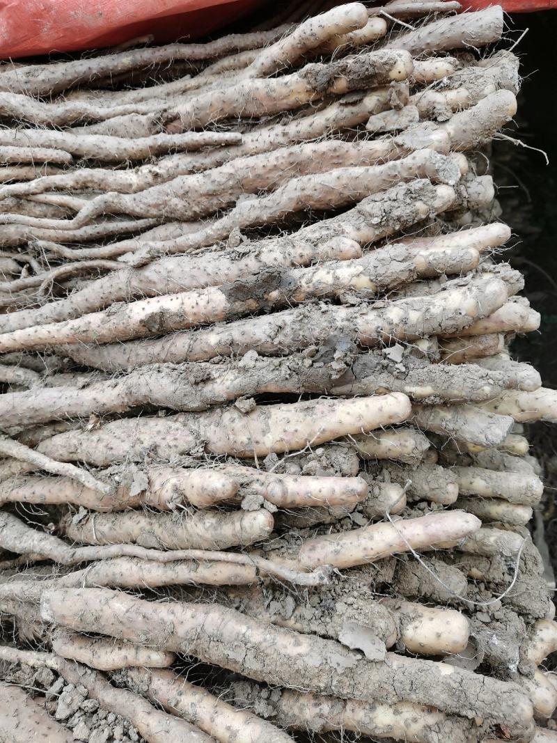 只卖真怀山铁棍山药有含量才叫真怀山煲汤煲粥