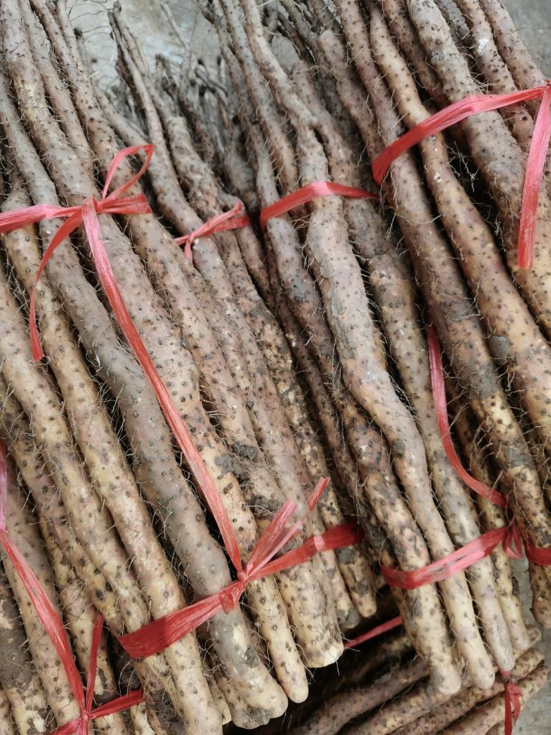 只卖真怀山铁棍山药有含量才叫真怀山煲汤煲粥