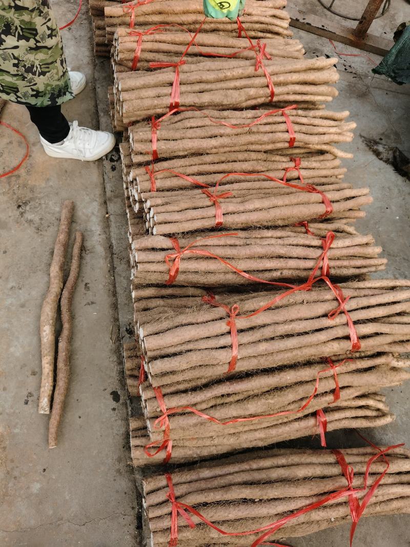 只卖真怀山铁棍山药有含量才叫真怀山煲汤煲粥