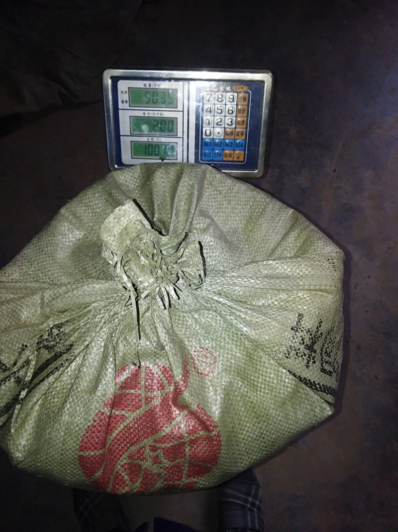 白果银杏果，产地直销，保质保量，量大从优，欢迎选购！