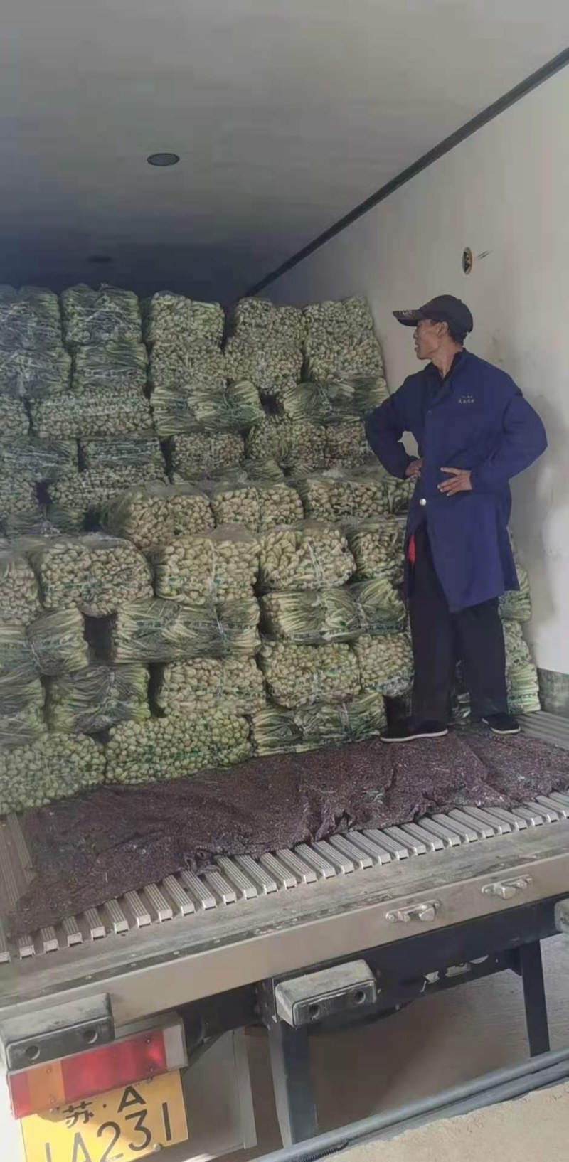 万亩蔬菜基地专业代办代发大中小奶白菜