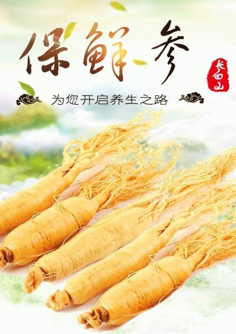 长白山保鲜参各种规格7克到500克都有支持一件代发
