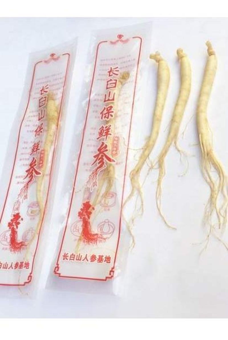 长白山保鲜参各种规格7克到500克都有支持一件代发