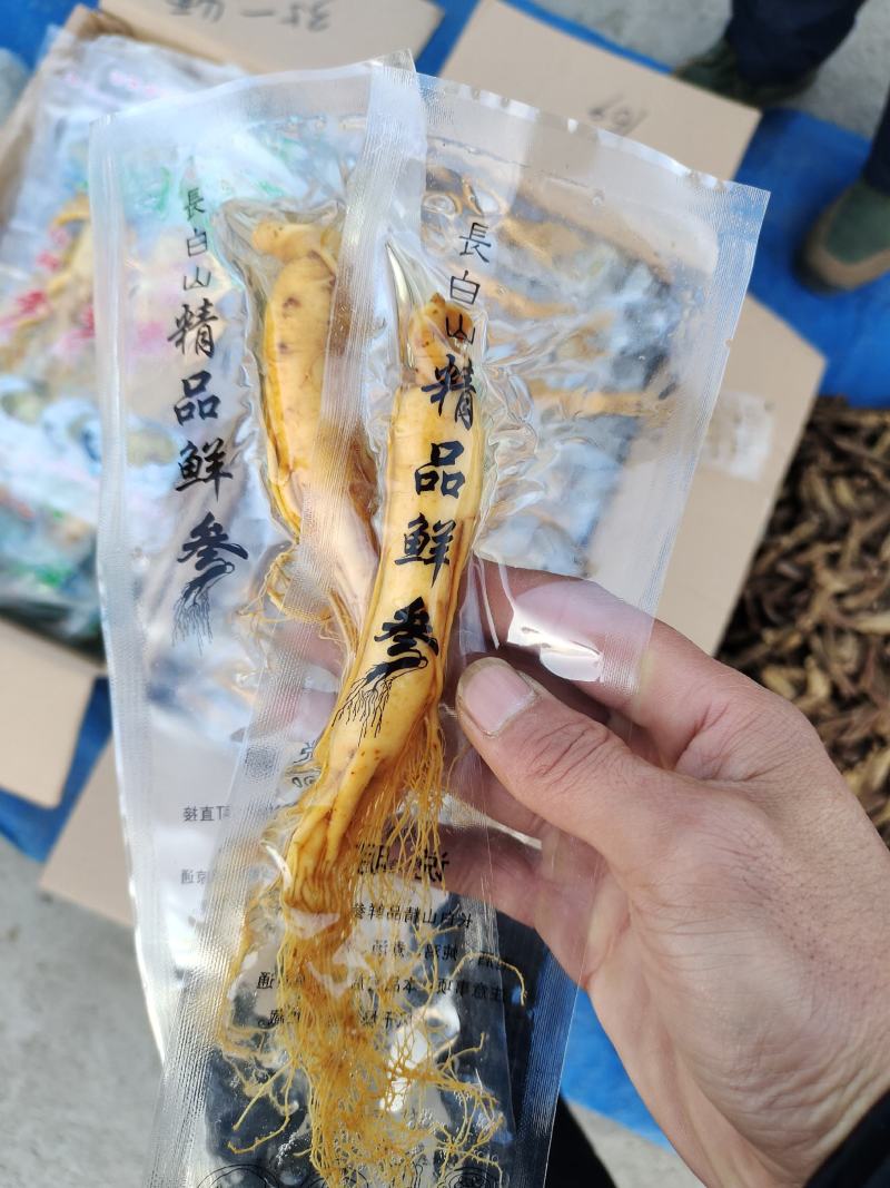 长白山保鲜参各种规格7克到500克都有支持一件代发