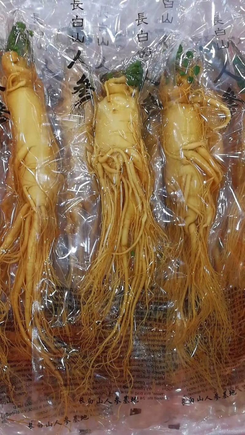 长白山保鲜参各种规格7克到500克都有支持一件代发