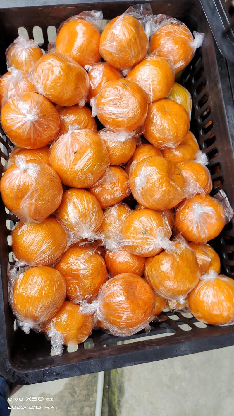 湖南椪柑大量上市，皮薄肉嫩口感甜，大产区，货源充足