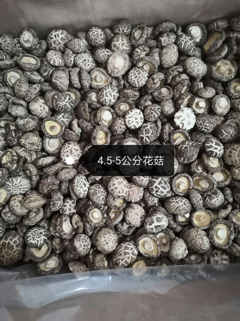 河南春栽分级成品花菇，肉厚，菇形干度好，批发为主，包邮。