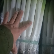 大葱质量好，价格合理，一次合作终生朋友