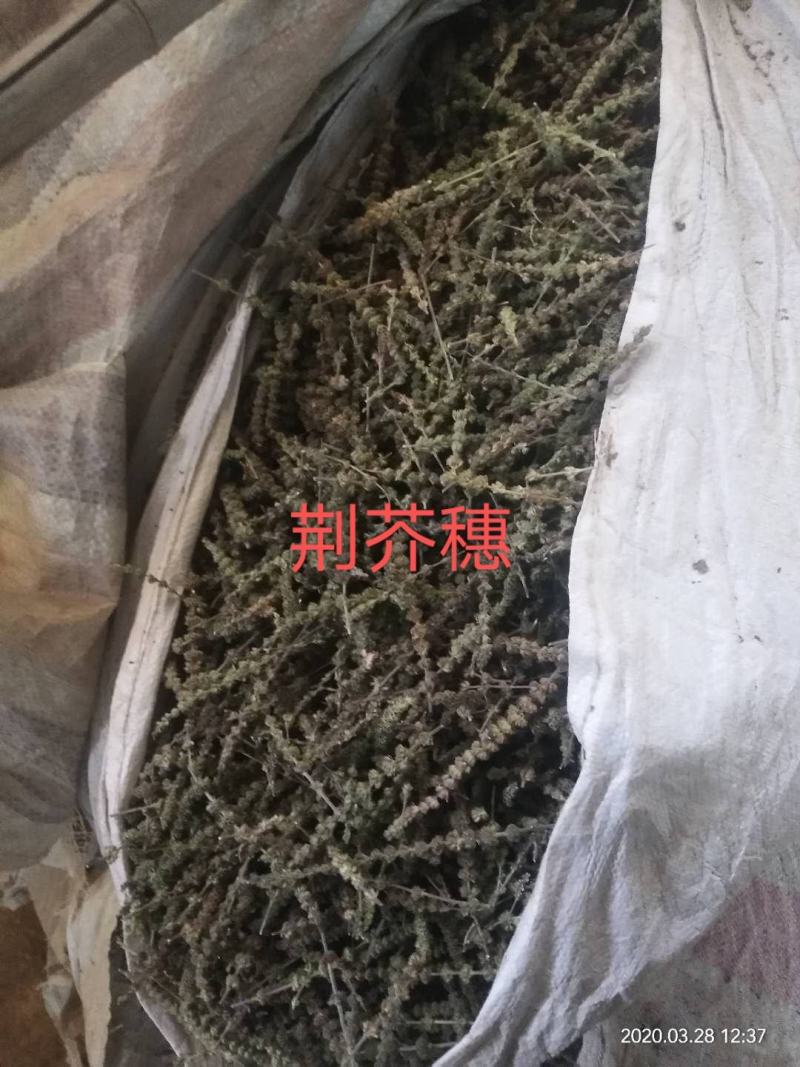 荆芥穗，，，，，，，，
