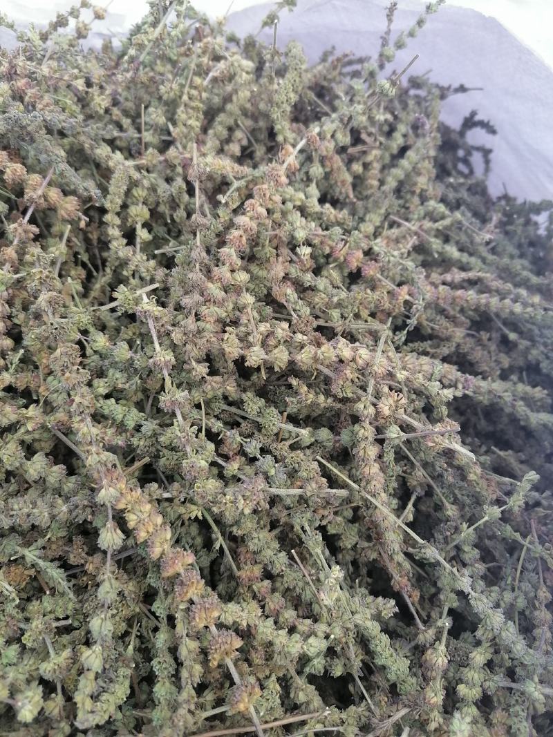 荆芥穗，，，，，，，，