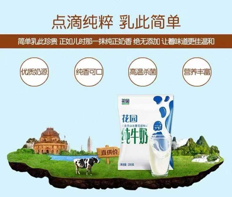 新疆花园纯牛奶利乐枕，兵团纯牛奶带吸管20包
