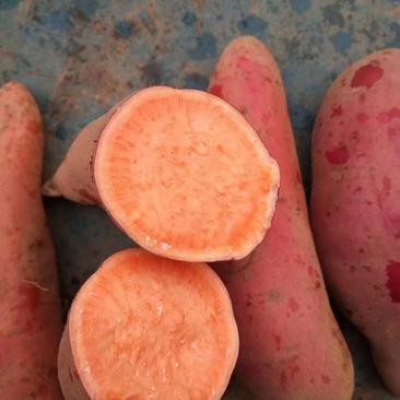 西瓜红红薯，红薯基地价格货源充足山东红薯直销