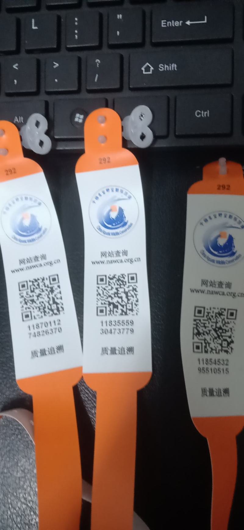 养殖场直发，娃娃鱼鲜活体大鲵，水产海鲜食用包活包邮