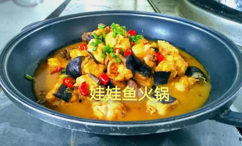 养殖场直发，娃娃鱼鲜活体大鲵，水产海鲜食用包活包邮