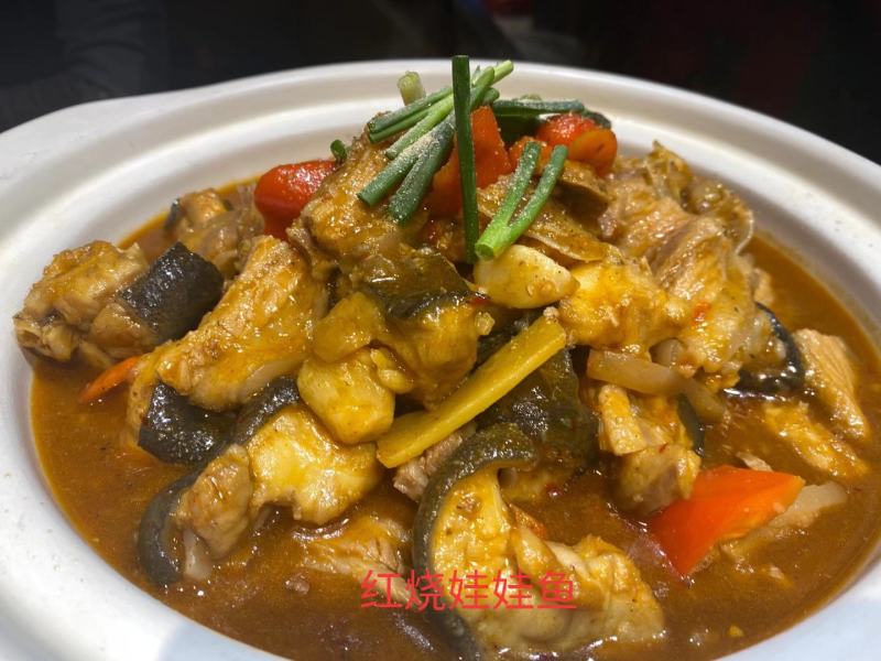 养殖场直发，娃娃鱼鲜活体大鲵，水产海鲜食用包活包邮