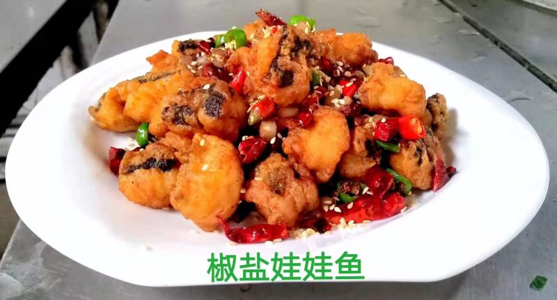 养殖场直发，娃娃鱼鲜活体大鲵，水产海鲜食用包活包邮