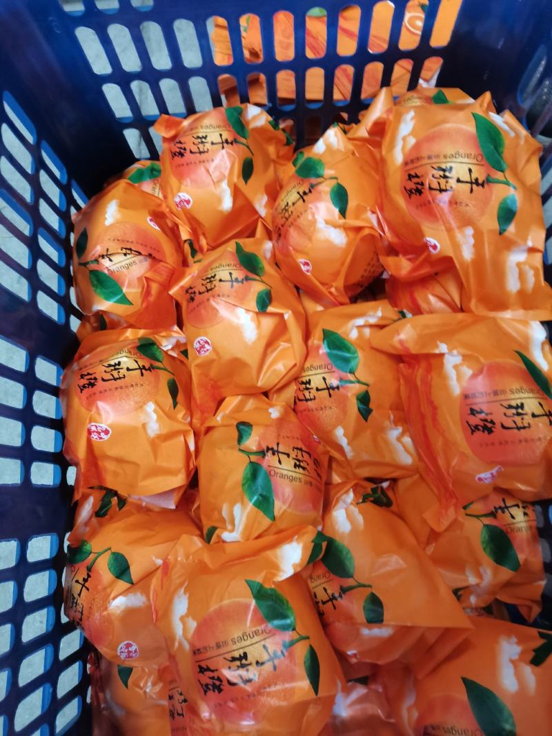 脐橙【赣南脐橙纽荷尔甜橙产地农户一手货源批发全国各地市场