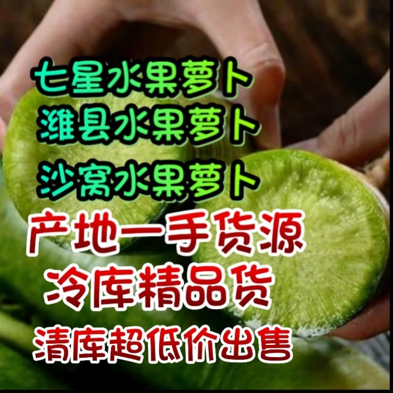 水果萝卜，青萝卜，潍县水果萝卜。冷库精品大量有货