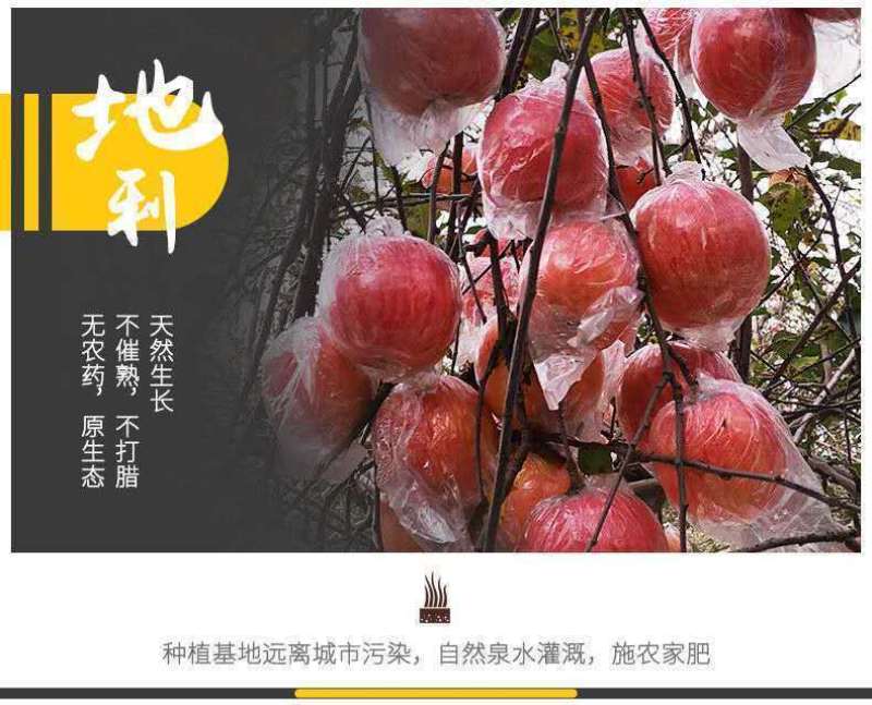 脆甜红富士苹果10斤装应季孕妇新鲜水果冰糖心丑苹果整箱