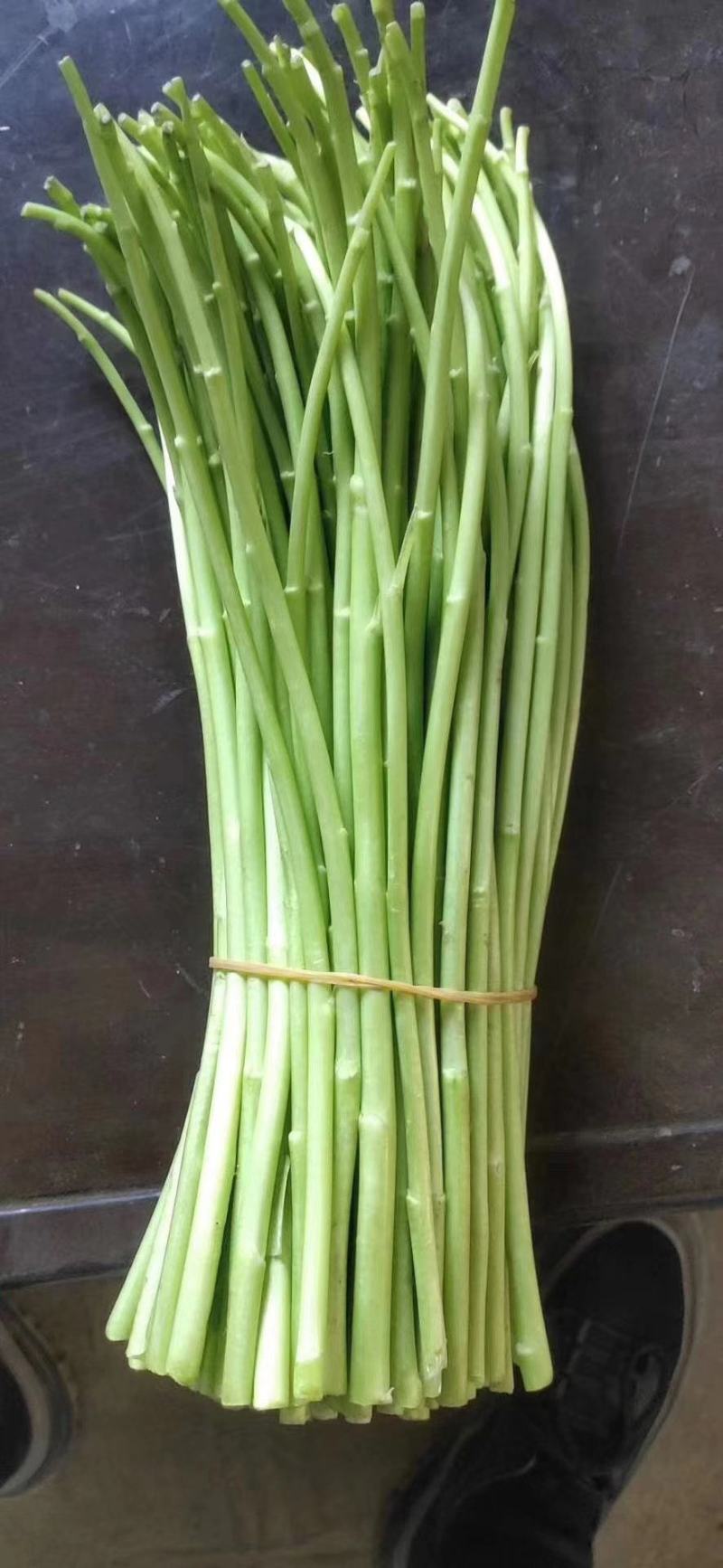 （新田野特菜行）芦蒿时价经营，诚信交易大量批发，需要联系