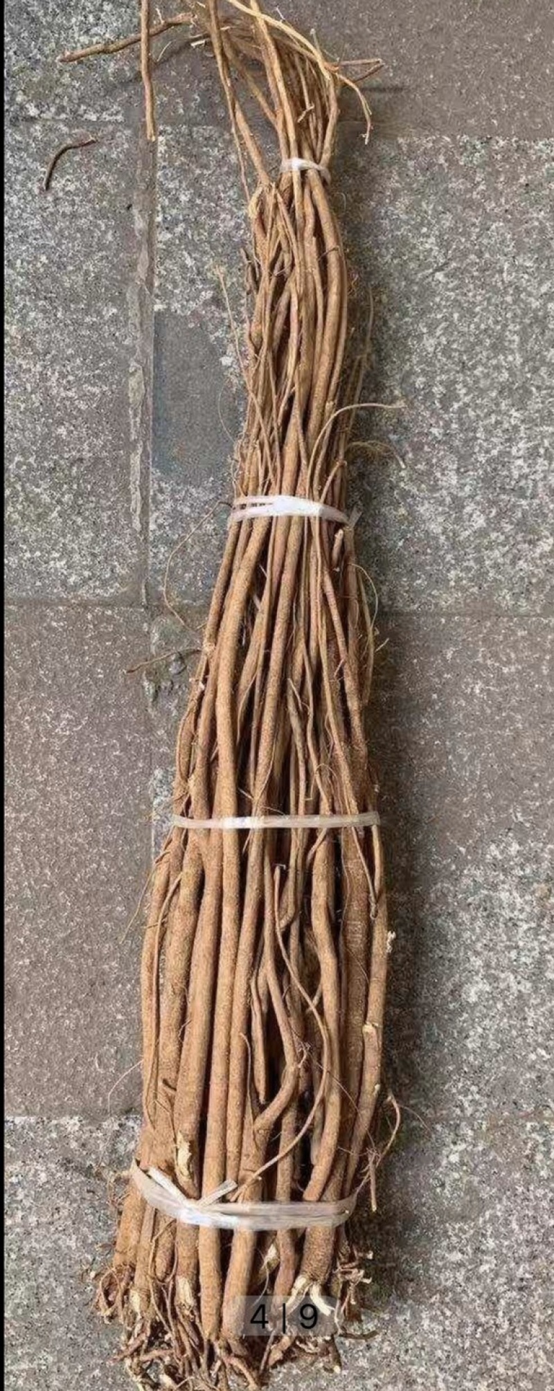 小叶红皮千斤拔干货野生千斤拔直条野生千斤拔干货千斤拔黄泥